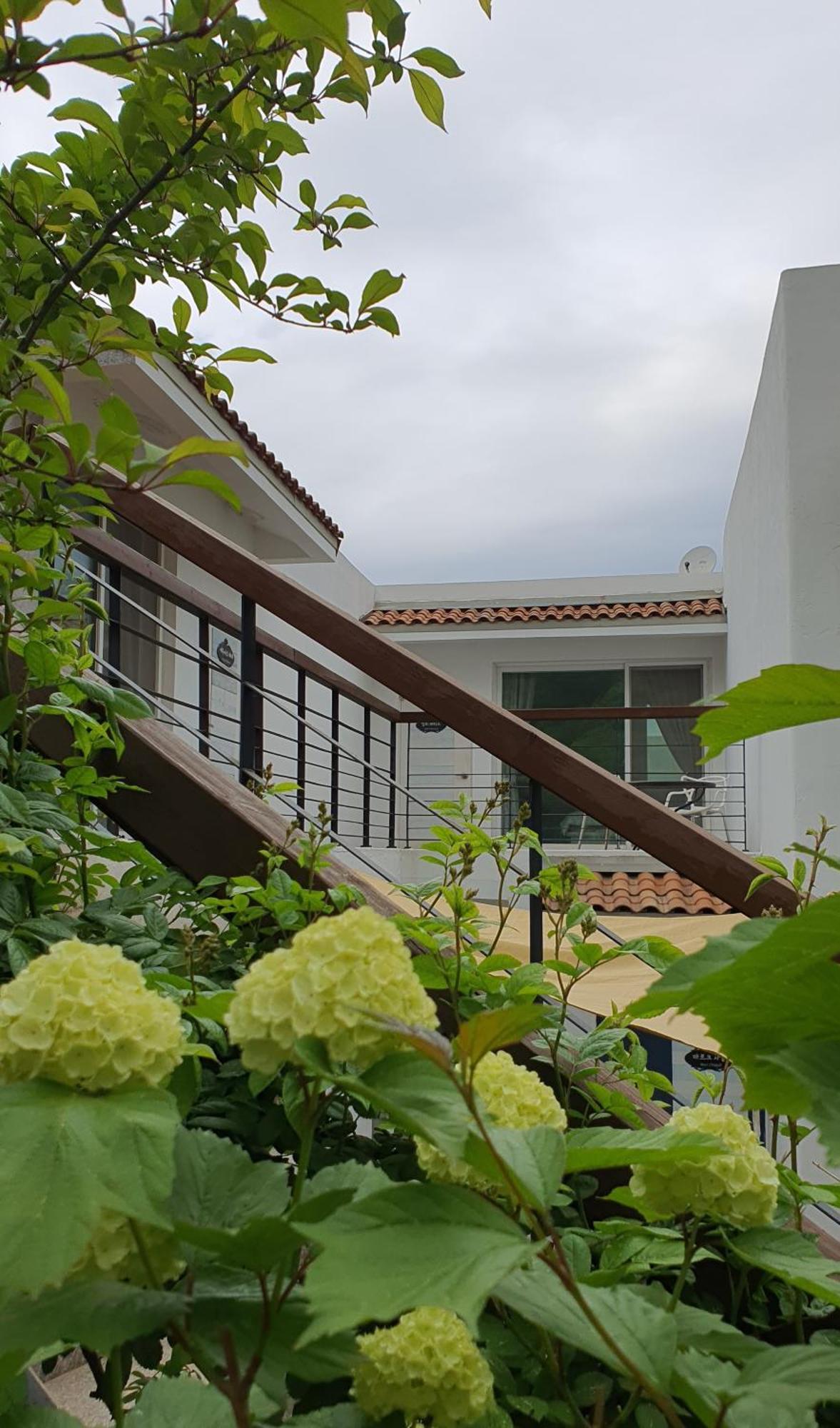 Saint Paul De Vence Villa Damyang Værelse billede