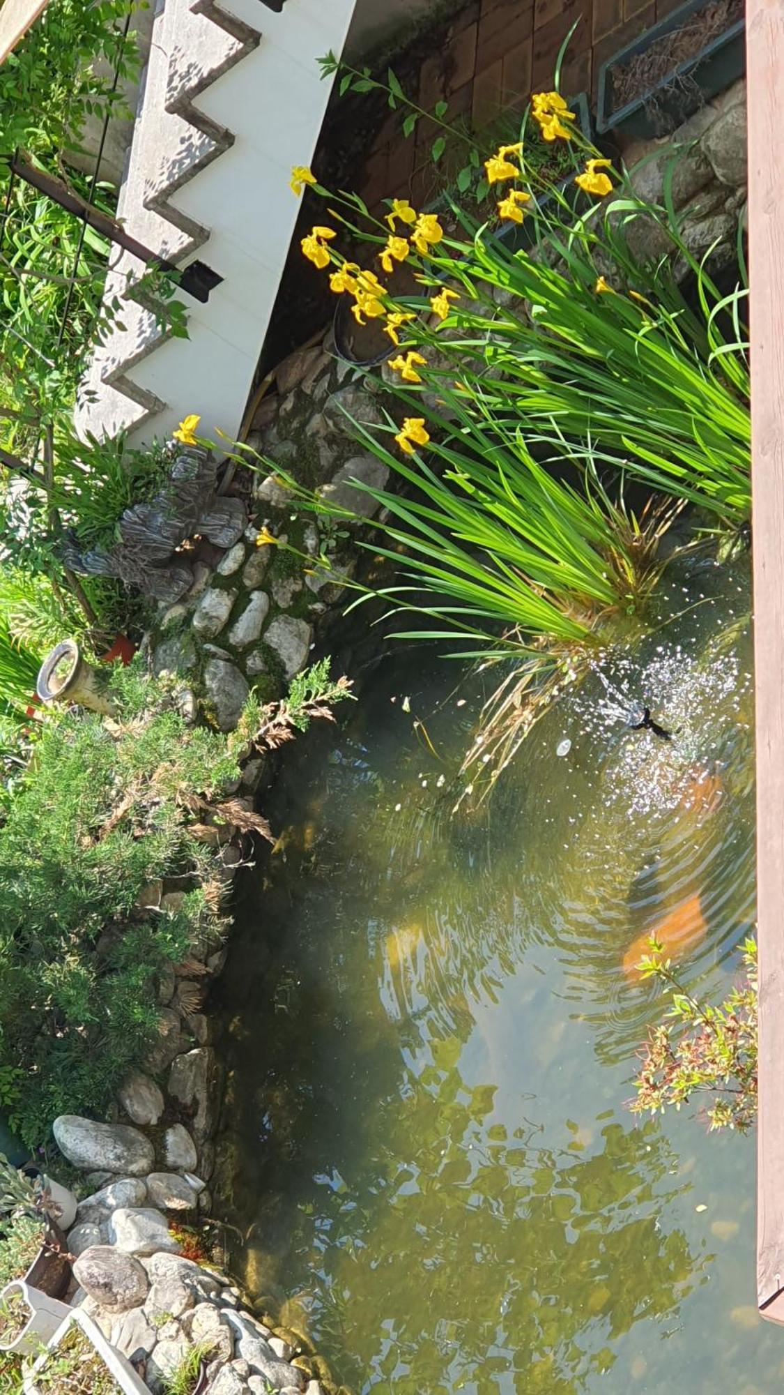 Saint Paul De Vence Villa Damyang Værelse billede
