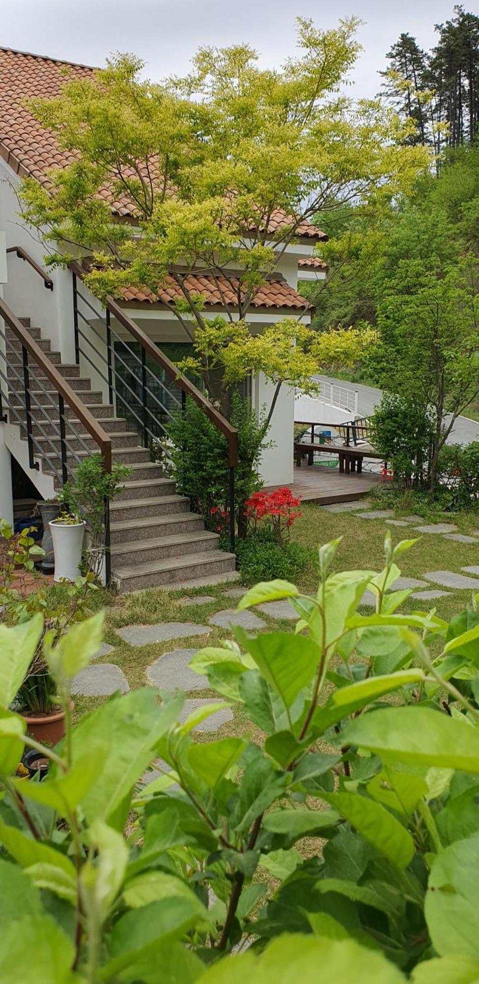 Saint Paul De Vence Villa Damyang Værelse billede