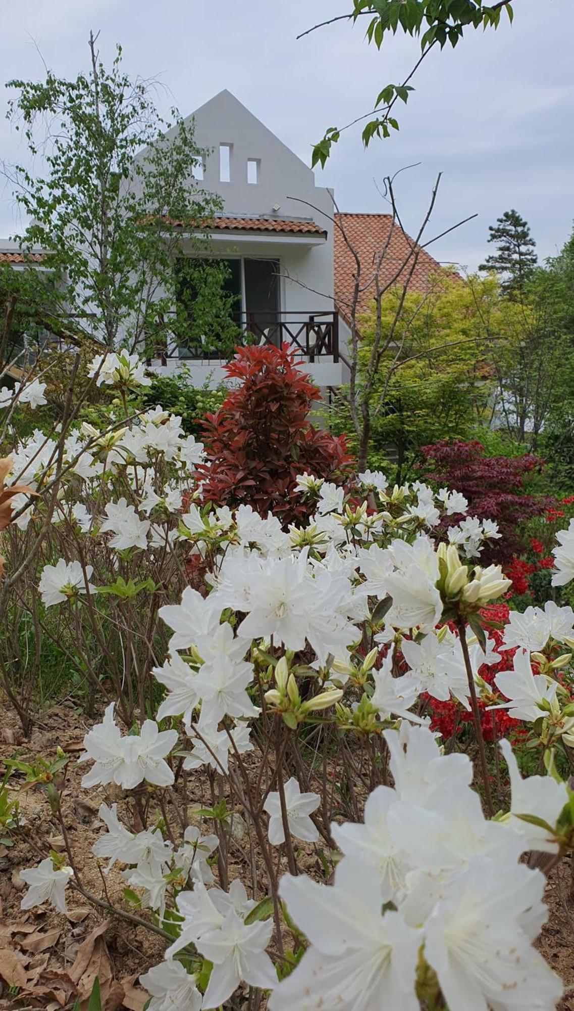 Saint Paul De Vence Villa Damyang Værelse billede