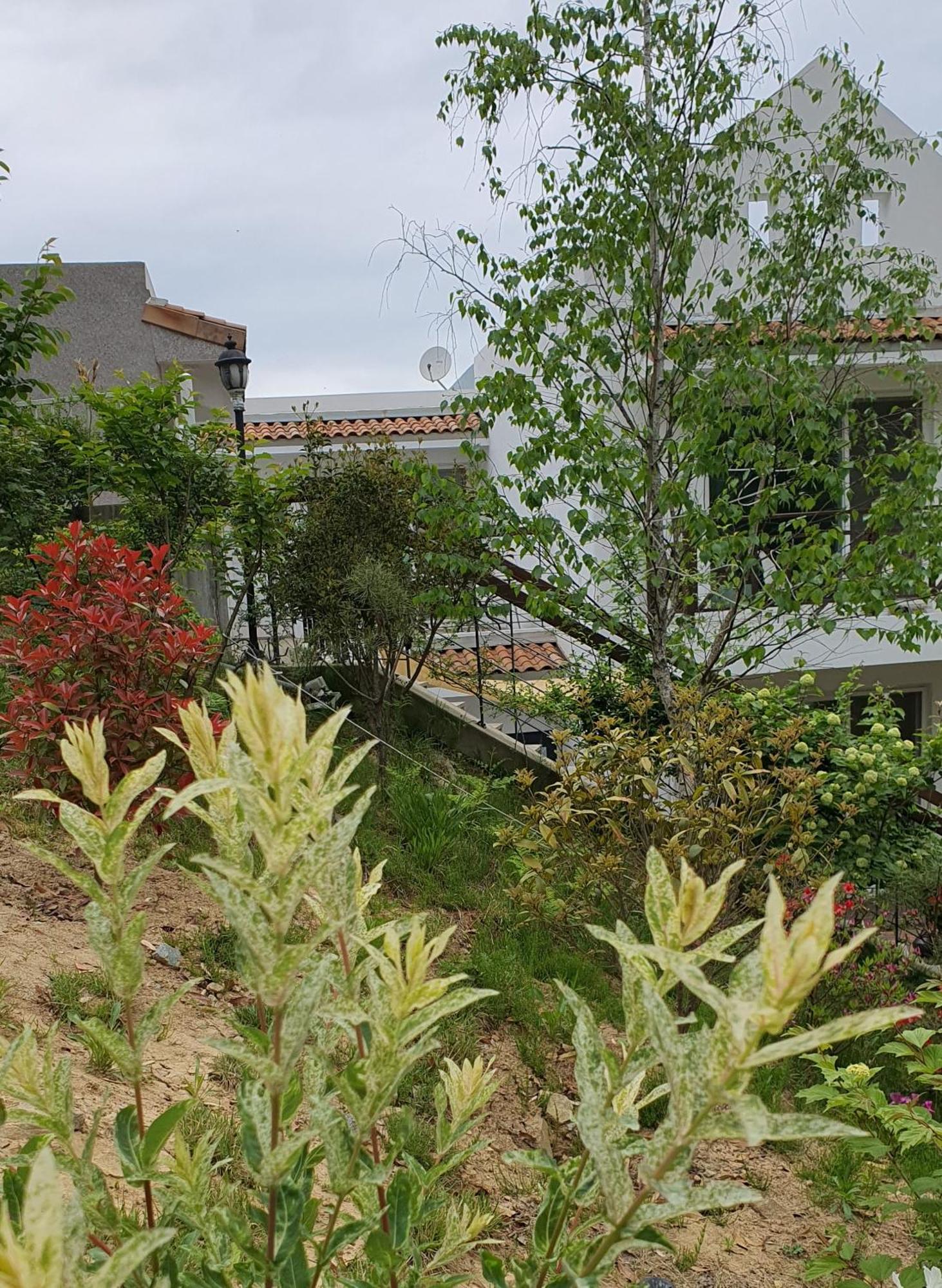 Saint Paul De Vence Villa Damyang Værelse billede