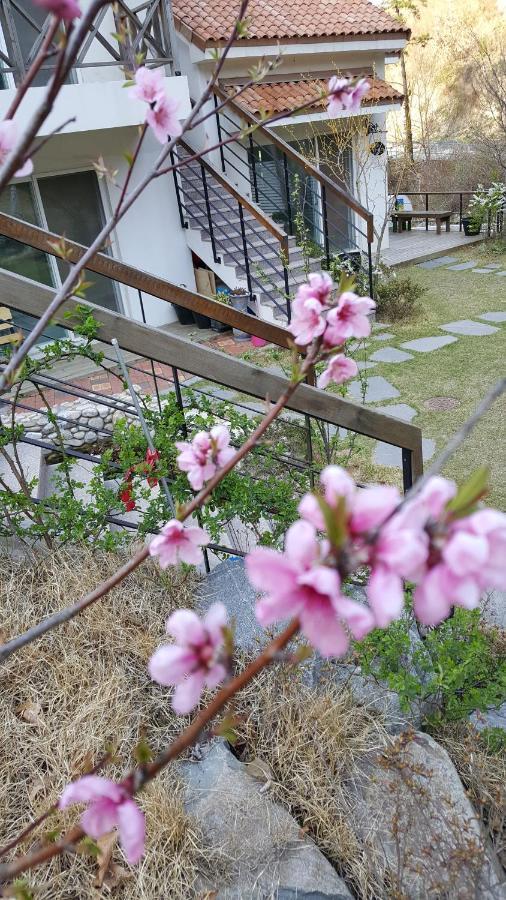 Saint Paul De Vence Villa Damyang Eksteriør billede